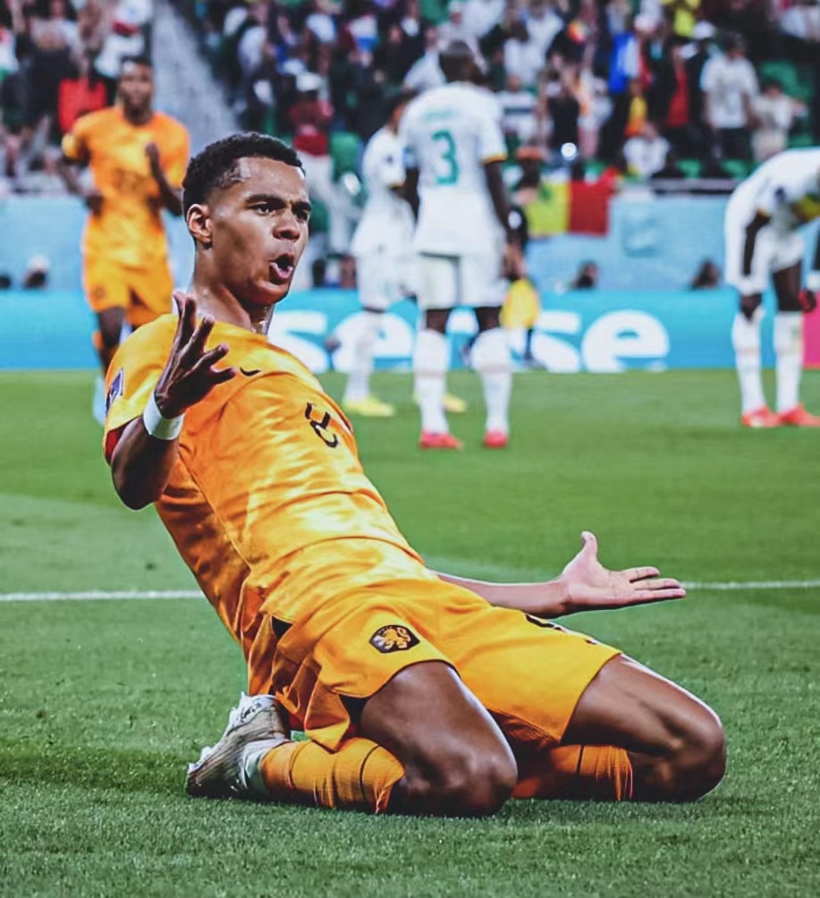 欧洲杯荷兰队vs奥地利队